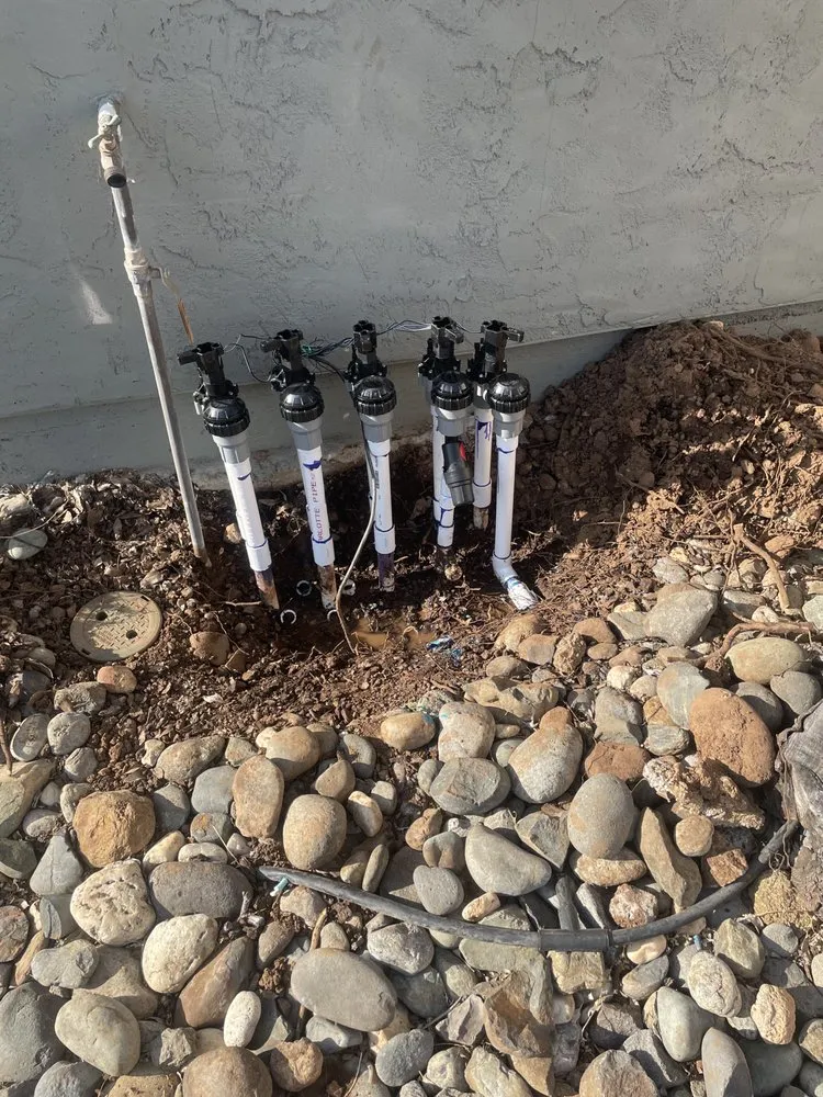 Affordable yard cleanup service experts serving Chico, CA - DB Landscaping