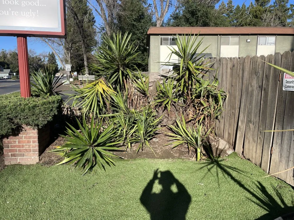 Custom yard cleanup service experts serving Chico, CA - DB Landscaping