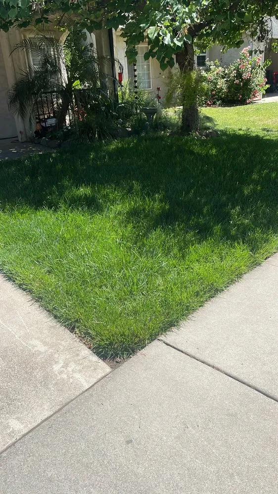 Professional lawn mowing service in Chico, CA - DB Landscaping