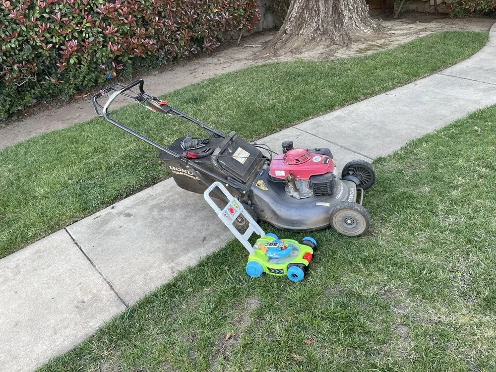 Local yard maintenance in Chico, CA - DB Landscaping