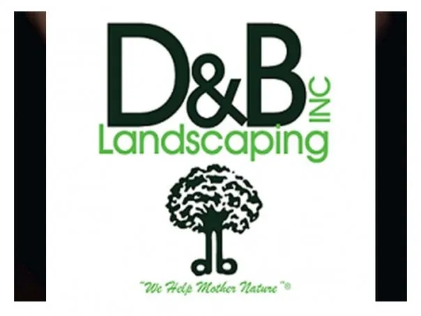 Reliable landscape installation near you in Livonia, MI by D&B Landscaping