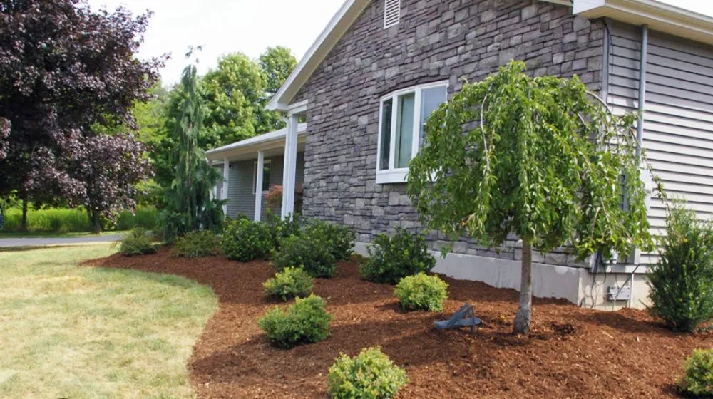 Professional landscape design in Vinemont, AL by Db Landscaping