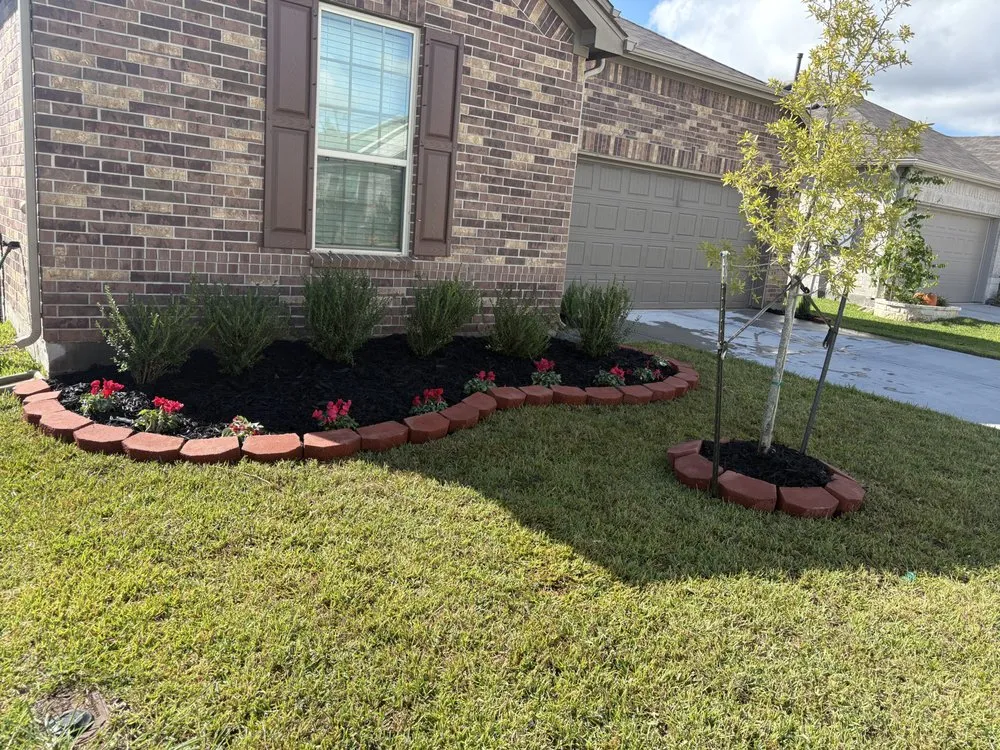 Affordable lawn care service experts serving Santa Fe, TX - D&B Lawn & Home Care