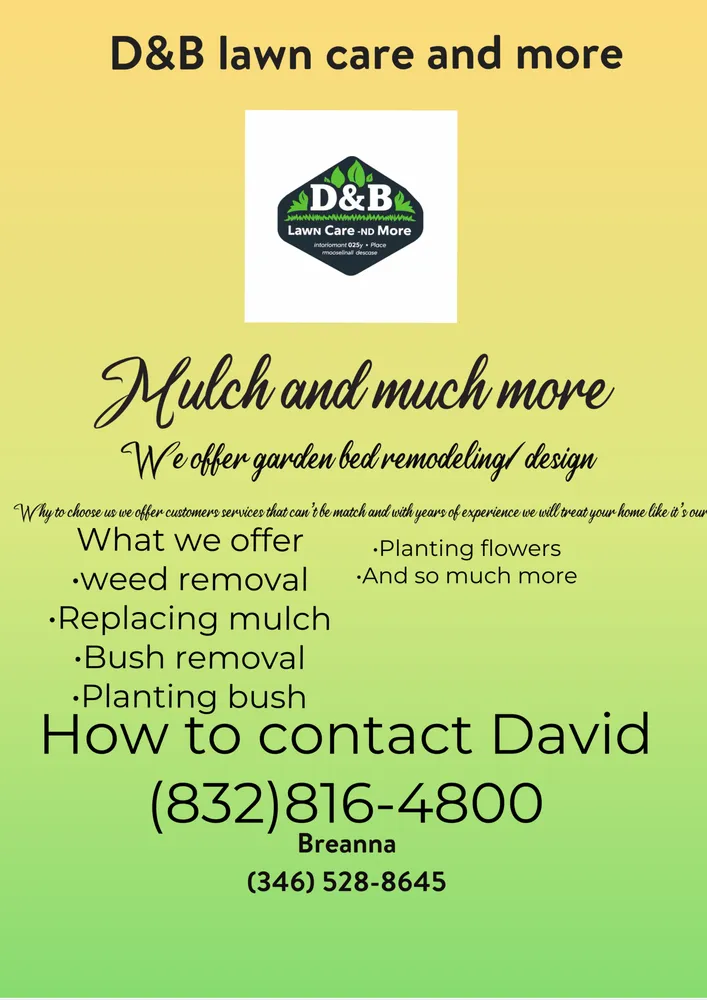 Trusted yard maintenance for beautiful yards across Santa Fe, TX - D&B Lawn & Home Care