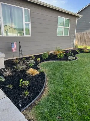 DB Lawn & Landscaping Logo