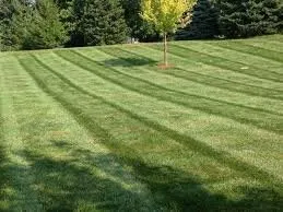 Professional landscaping services in Council Bluffs, IA by DB Lawn Enforcement
