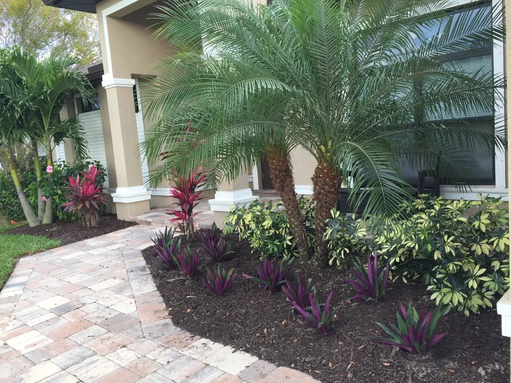 Expert yard cleanup service for homes in Lehigh Acres, FL by DB Lawn Maintenance