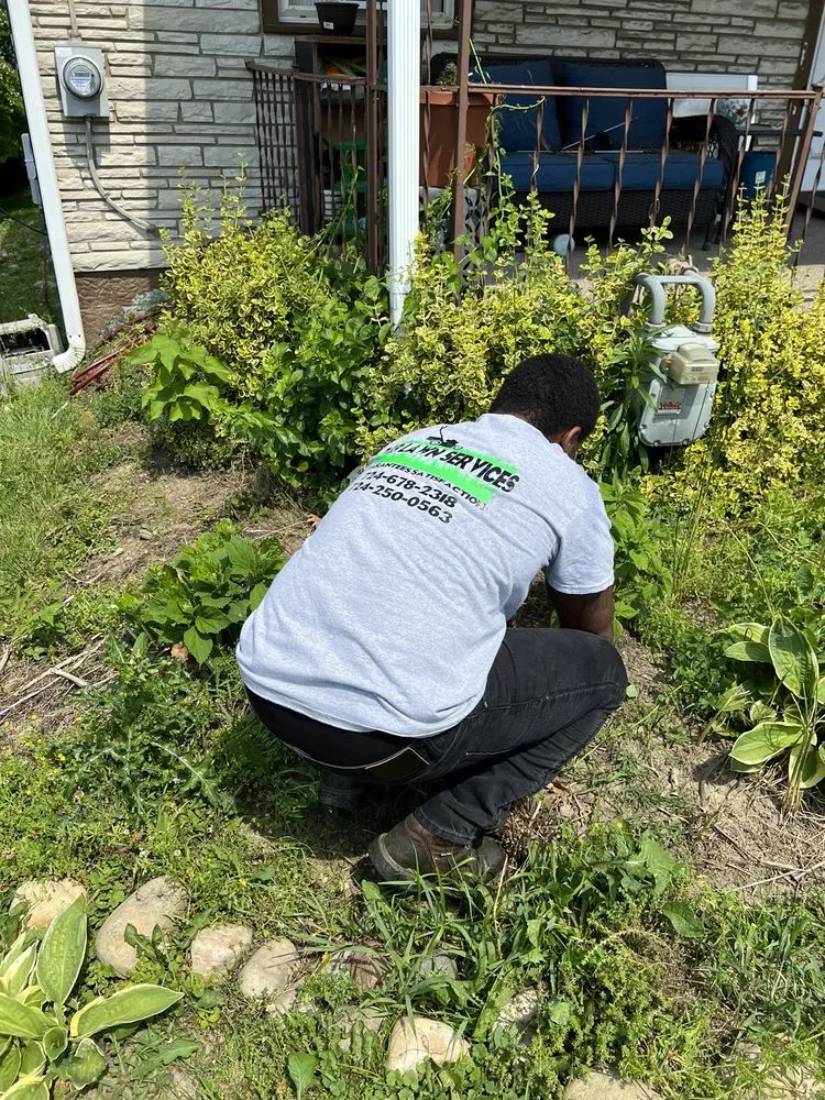 Top-rated garden landscaping for outdoor upgrades in Washington, PA by D&B Lawn Services