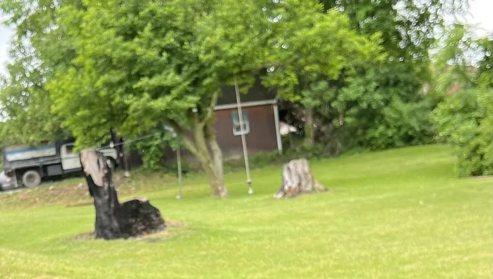 Reliable residential landscaping for homes in Washington, PA by D&B Lawn Services