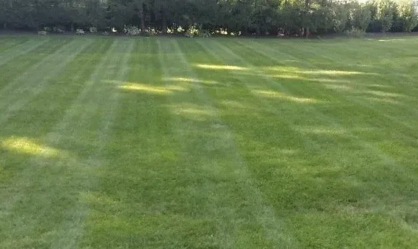 Professional outdoor landscaping experts serving Washington, PA - D&B Lawn Services