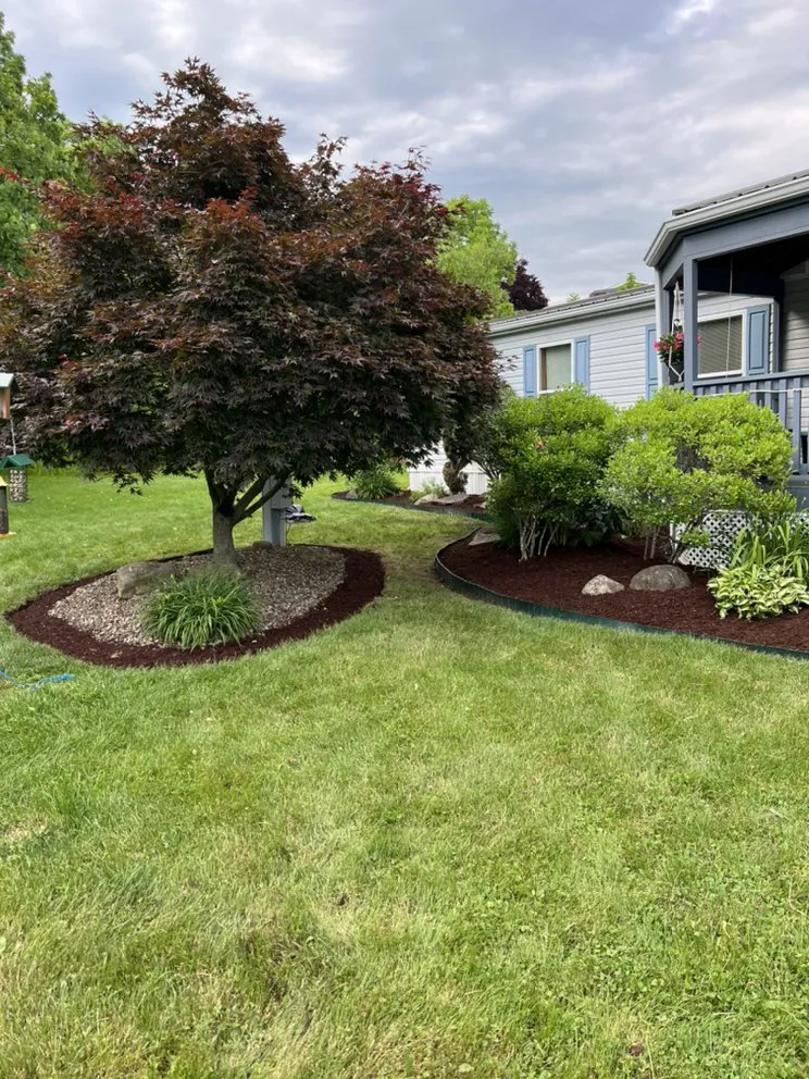 Trusted yard maintenance in Washington, PA by D&B Lawn Services