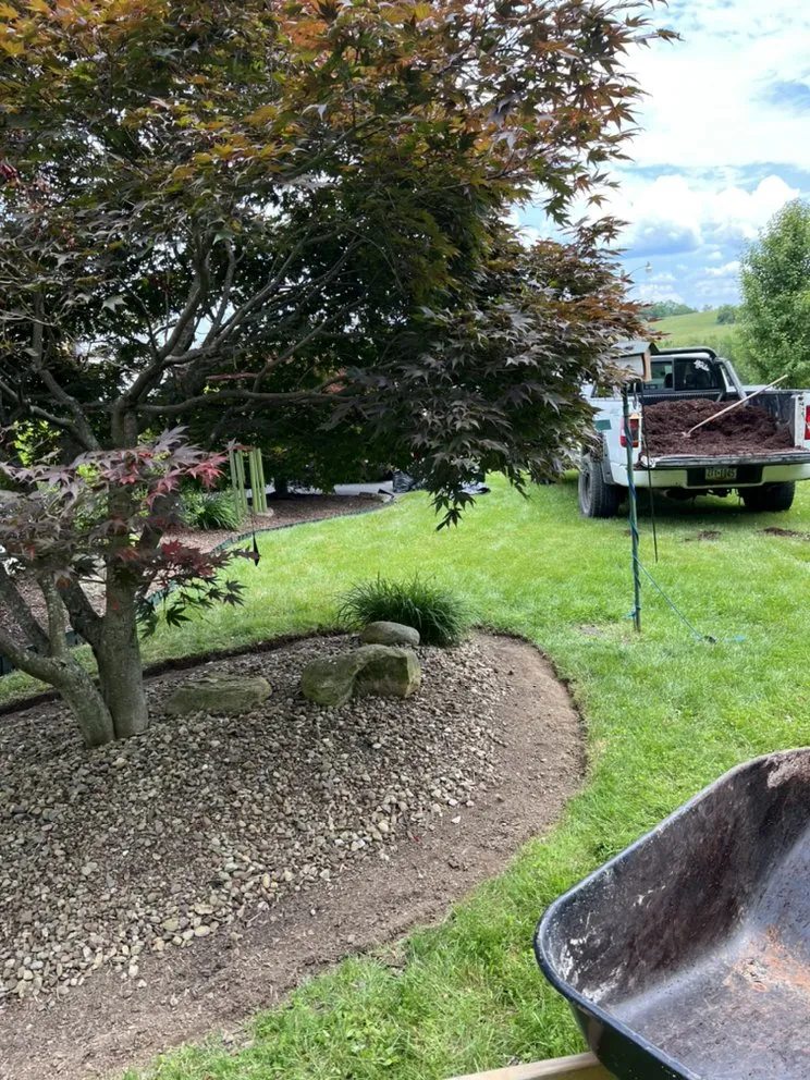 Affordable yard maintenance in Washington, PA by D&B Lawn Services