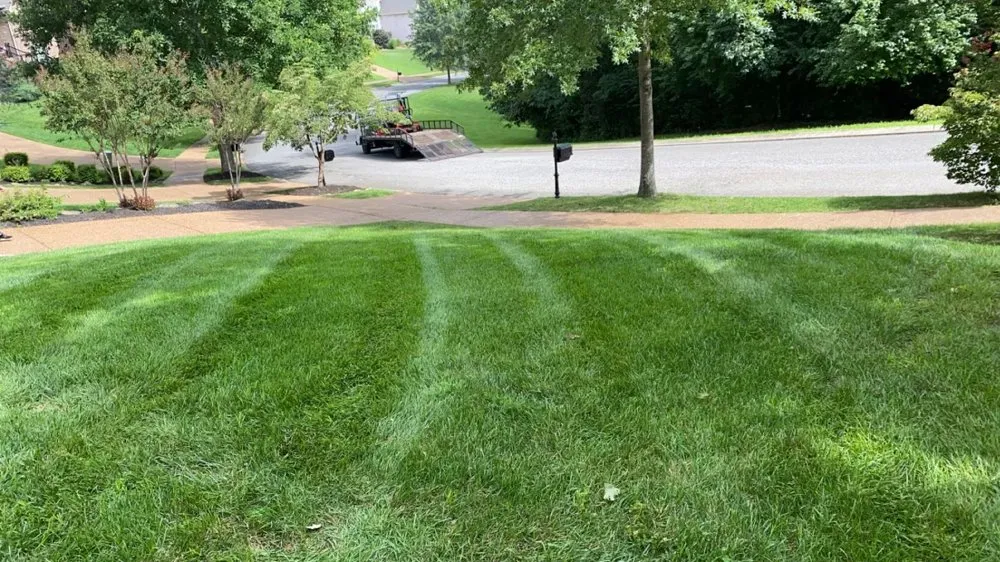 Custom lawn mowing service for outdoor upgrades across White House, TN - DB Lawncare