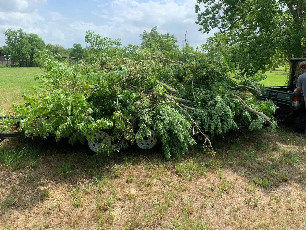 Custom landscaping services experts serving Mont Belvieu, TX - DB Precision Lawn Services