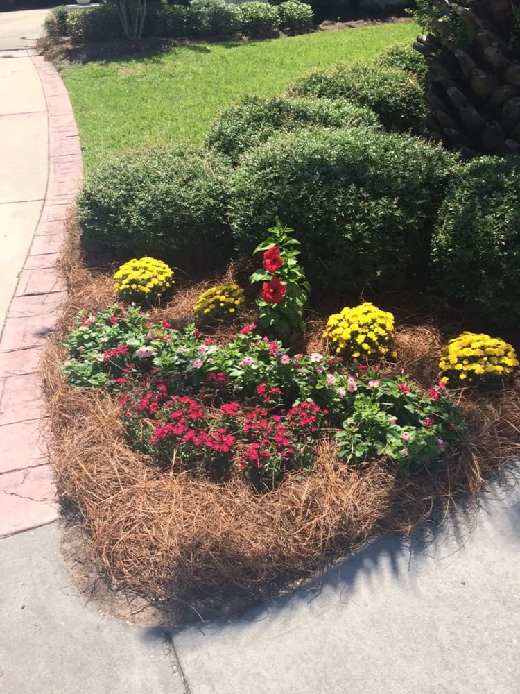 Trusted residential landscaping in Niceville, FL - D&B Pressure Cleaning and Landscaping