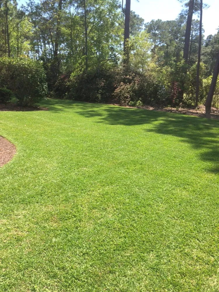 Reliable landscaping services for residential properties across Niceville, FL - D&B Pressure Cleaning and Landscaping