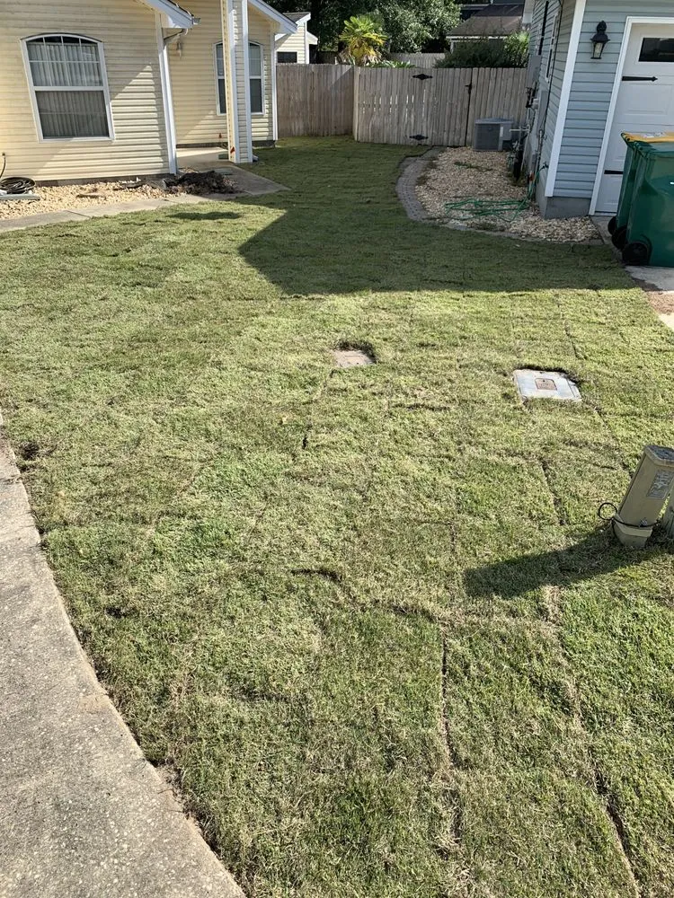 Top-rated lawn care service for beautiful yards across Niceville, FL - D&B Pressure Cleaning and Landscaping