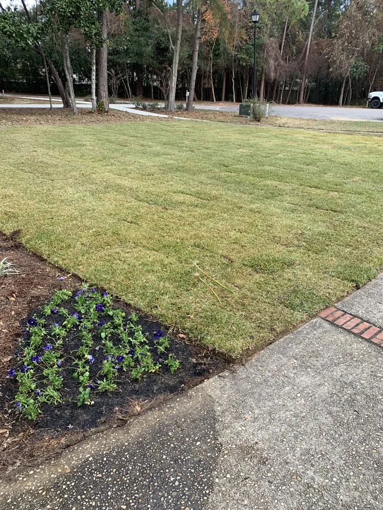 Top-rated lawn mowing service in Niceville, FL - D&B Pressure Cleaning and Landscaping