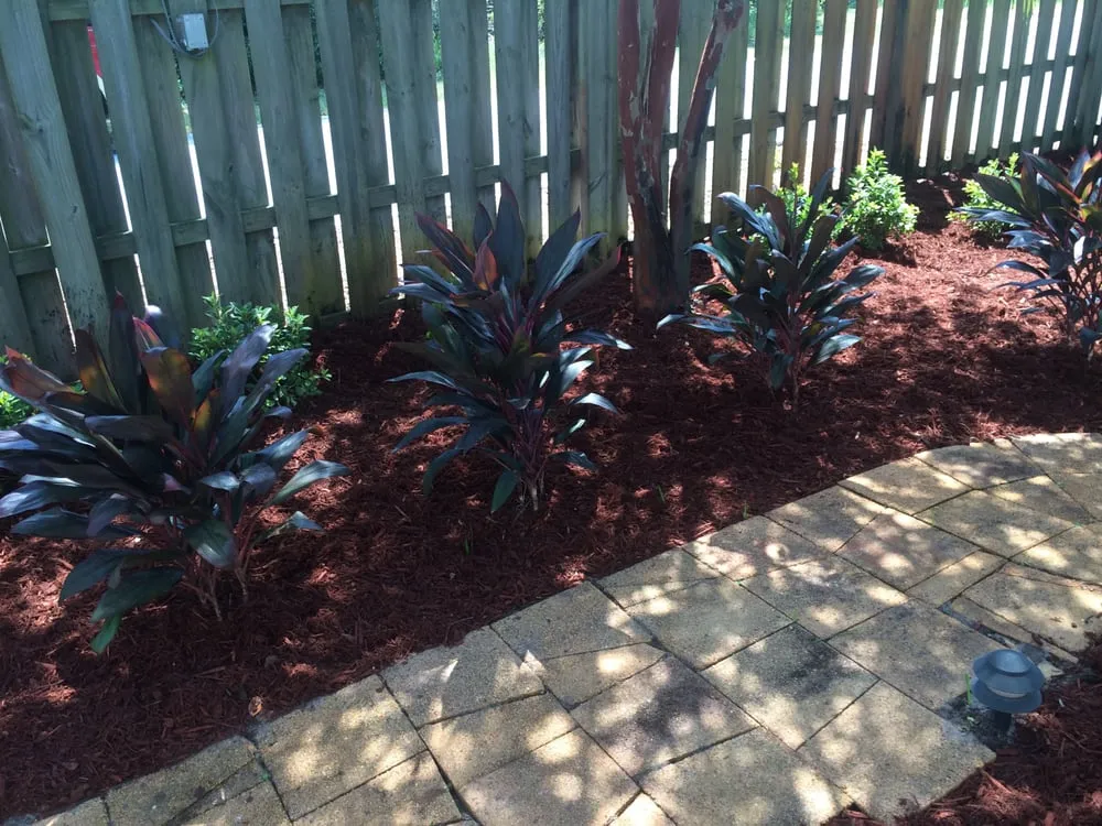 Local residential landscaping in Niceville, FL by D&B Pressure Cleaning and Landscaping