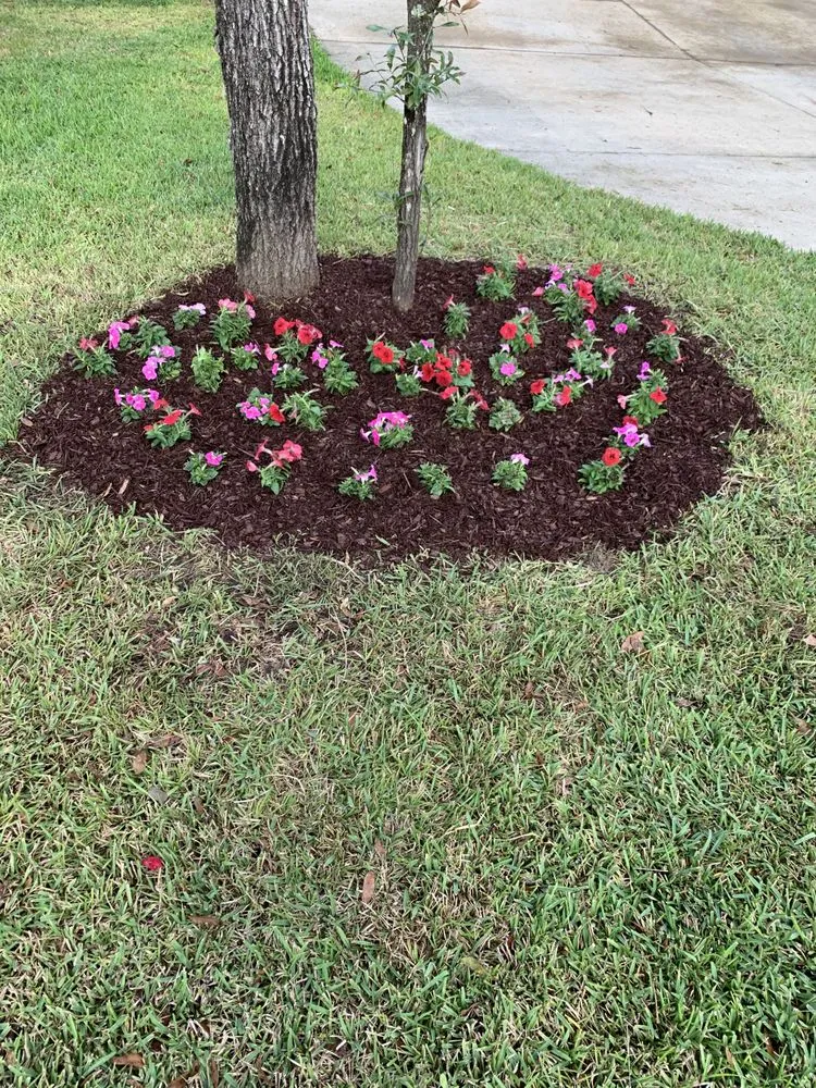 Expert yard maintenance with custom design across Niceville, FL - D&B Pressure Cleaning and Landscaping