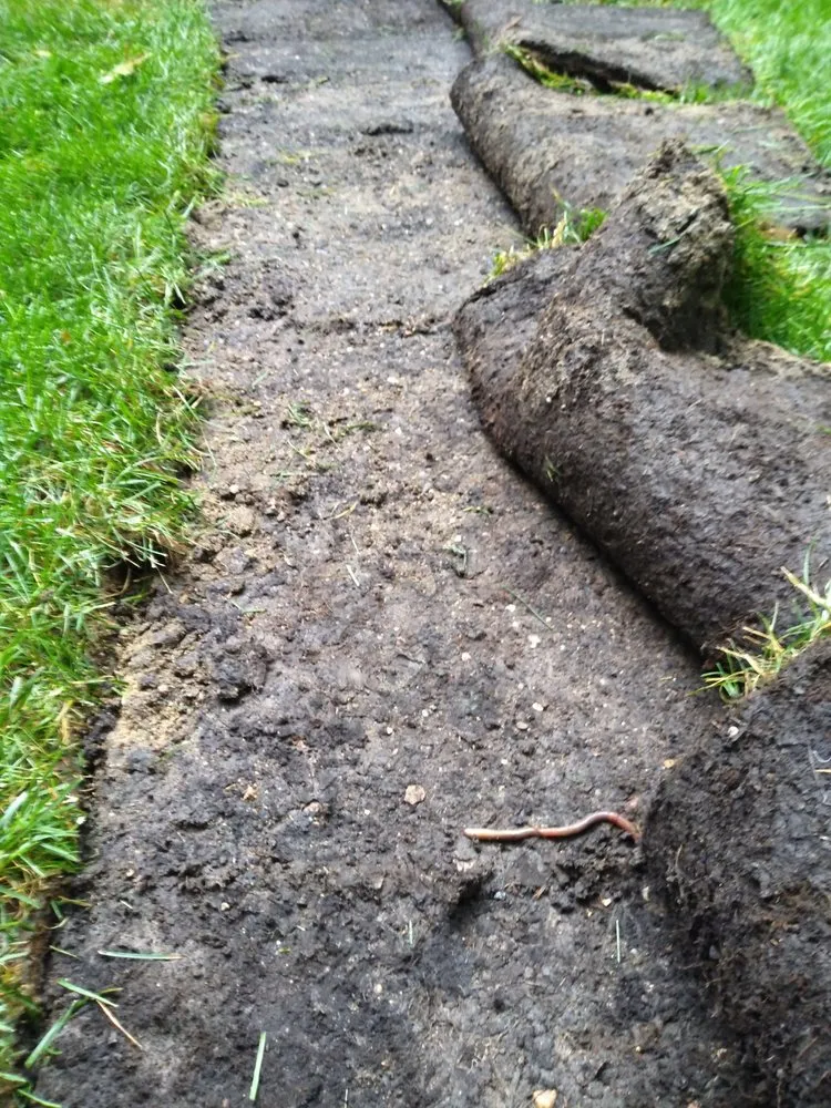 Top-rated garden landscaping in Minneapolis, MN - DB Property Maintenance