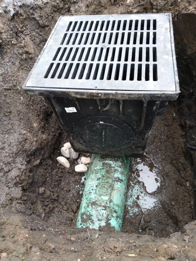 Local landscaping services in Minneapolis, MN - DB Property Maintenance