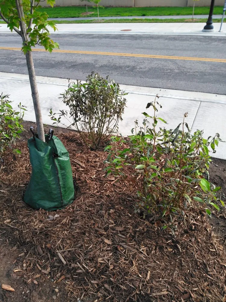 Custom residential landscaping for homes across Minneapolis, MN - DB Property Maintenance