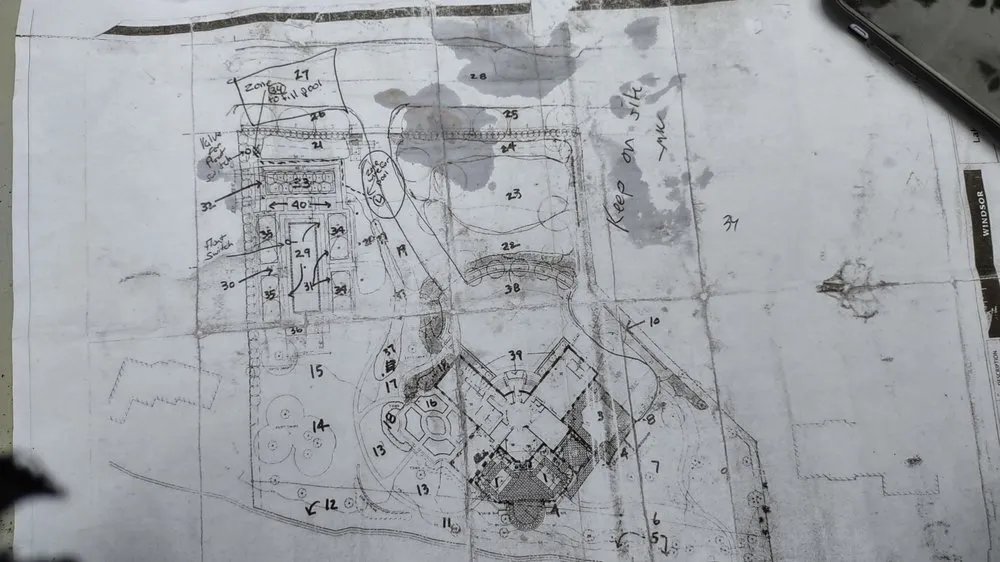 Expert lawn care service experts serving Minneapolis, MN - DB Property Maintenance