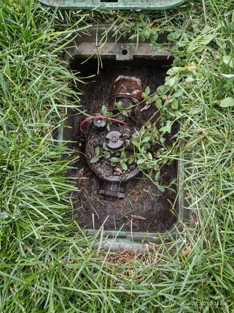 Expert garden landscaping for residential properties in Minneapolis, MN by DB Property Maintenance