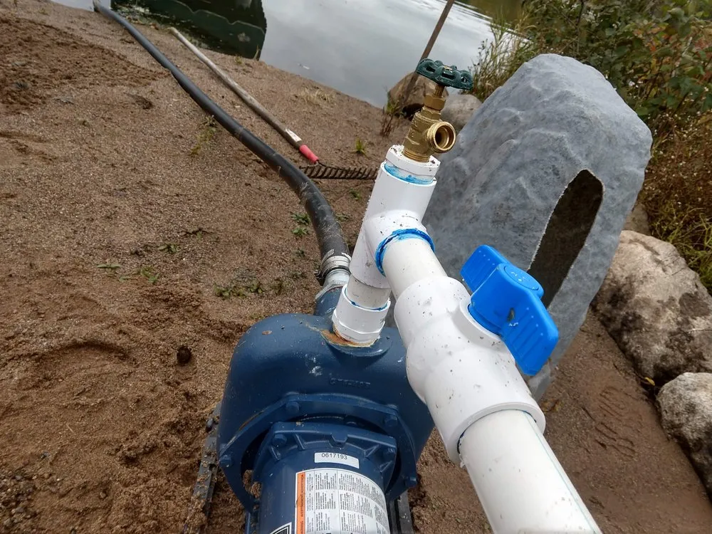 Reliable yard cleanup service experts serving Minneapolis, MN - DB Property Maintenance