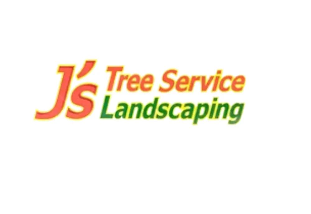 Expert yard cleanup service in Vineland, NJ - DB Tree Service Landscaping