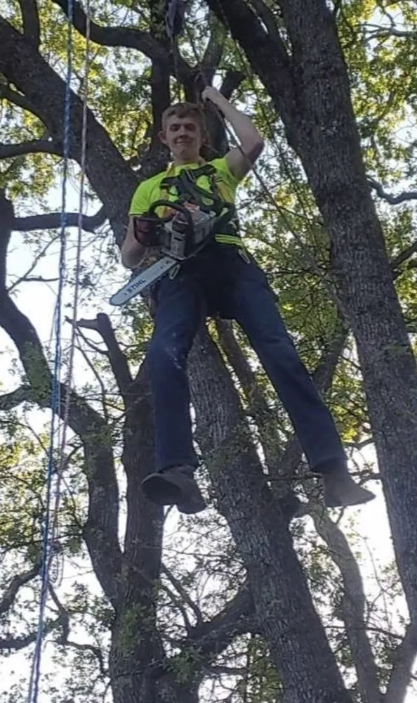 Reliable outdoor landscaping for year-round maintenance across Kelseyville, CA - D&B Tree Services