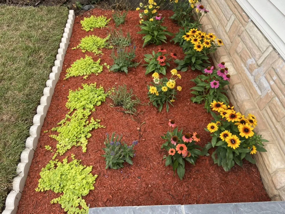 Trusted landscape design for homes in Rockville, MD by DBA landscaping