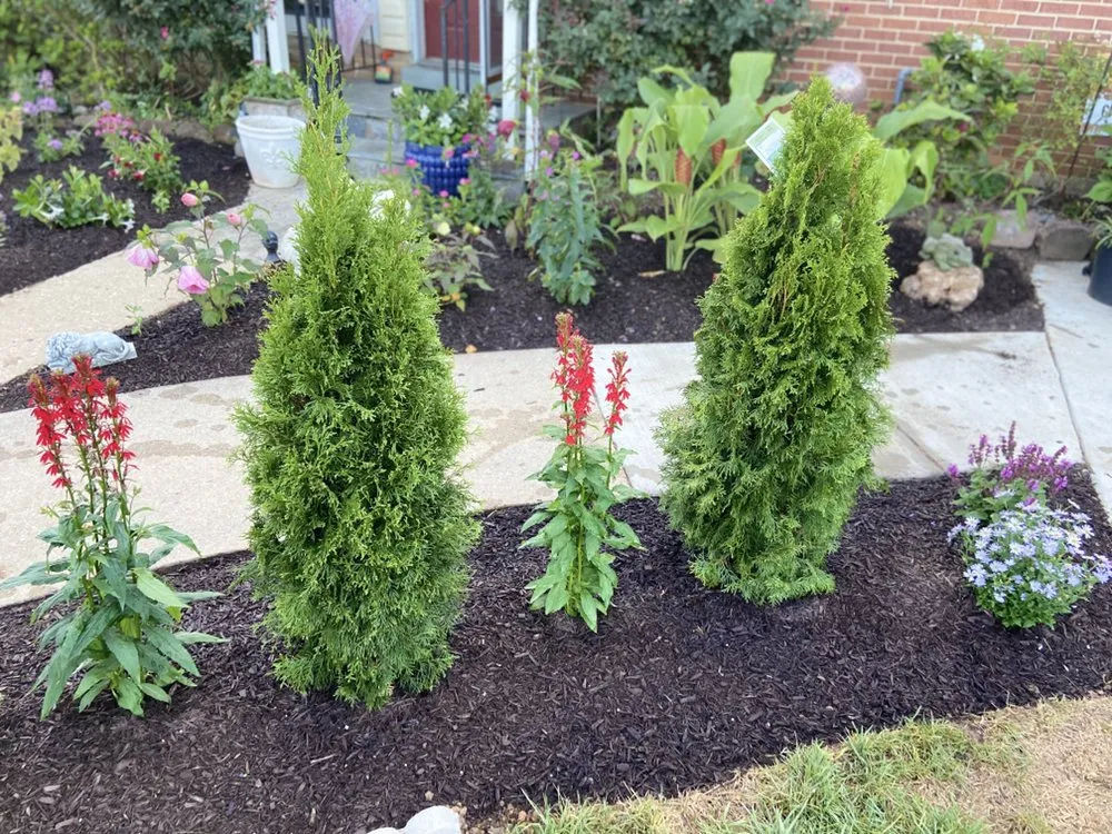 Local landscaping services for homes in Rockville, MD by DBA landscaping