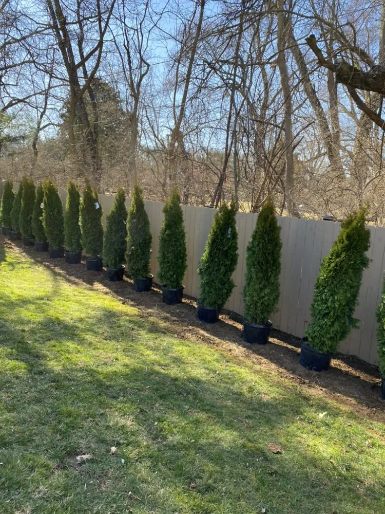 Top-rated outdoor landscaping in Rockville, MD by DBA landscaping