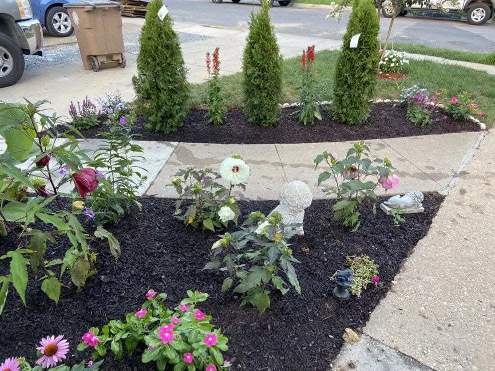 Affordable landscape design experts serving Rockville, MD - DBA landscaping
