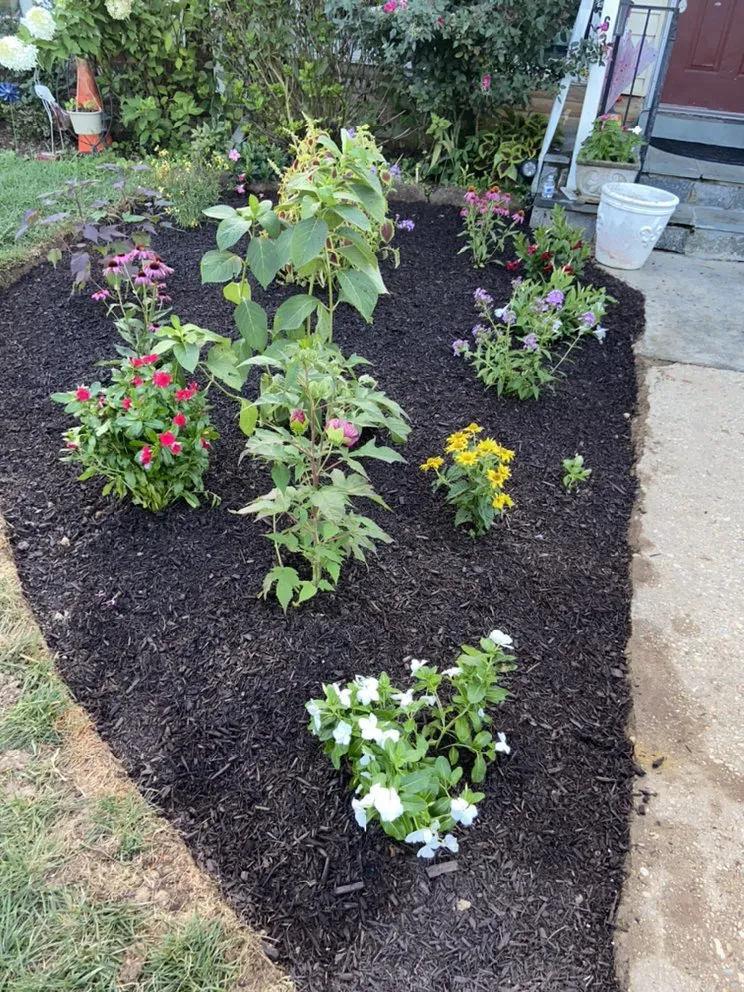Local landscape installation in Rockville, MD by DBA landscaping