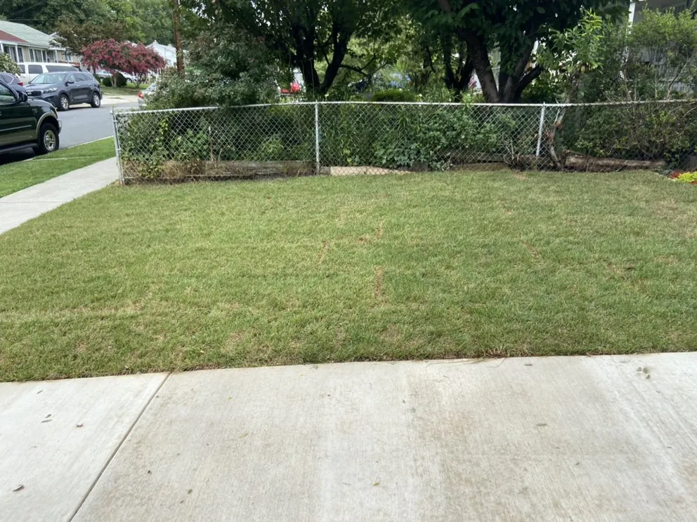 Affordable lawn care service for homes across Rockville, MD - DBA landscaping