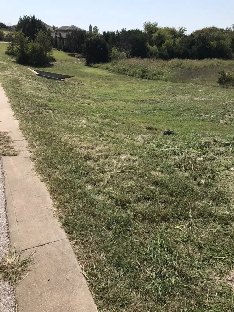 Top-rated garden landscaping near you across Liberty Hill, TX - DBA Lawn Care