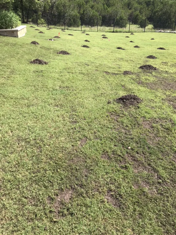 Local landscape design in Liberty Hill, TX - DBA Lawn Care