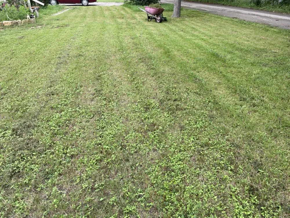 Local landscaping services with custom design in Liberty Hill, TX by DBA Lawn Care