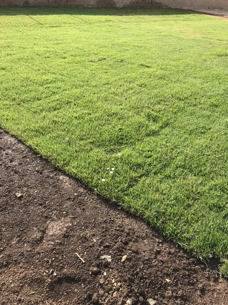 Custom lawn mowing service for beautiful yards across Liberty Hill, TX - DBA Lawn Care