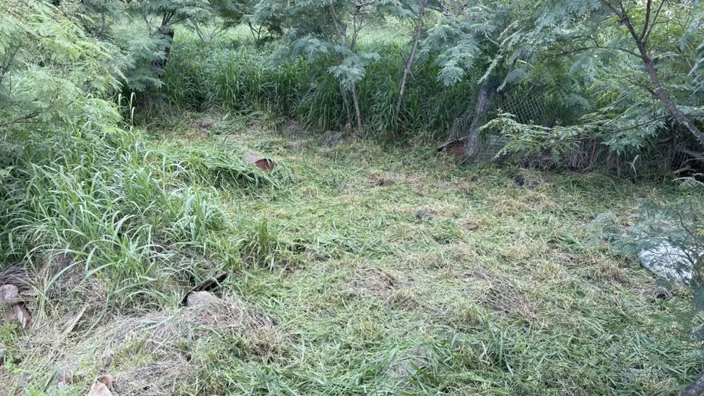 Trusted yard maintenance with custom design across Waianae, HI - DBA Lawn Maintenance