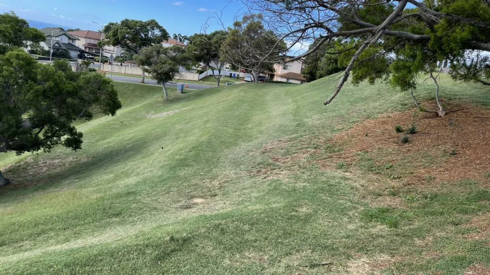 Trusted yard cleanup service experts serving Waianae, HI - DBA Lawn Maintenance