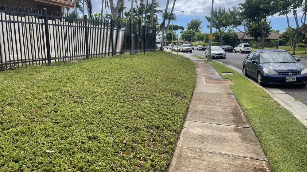 Reliable yard maintenance in Waianae, HI by DBA Lawn Maintenance