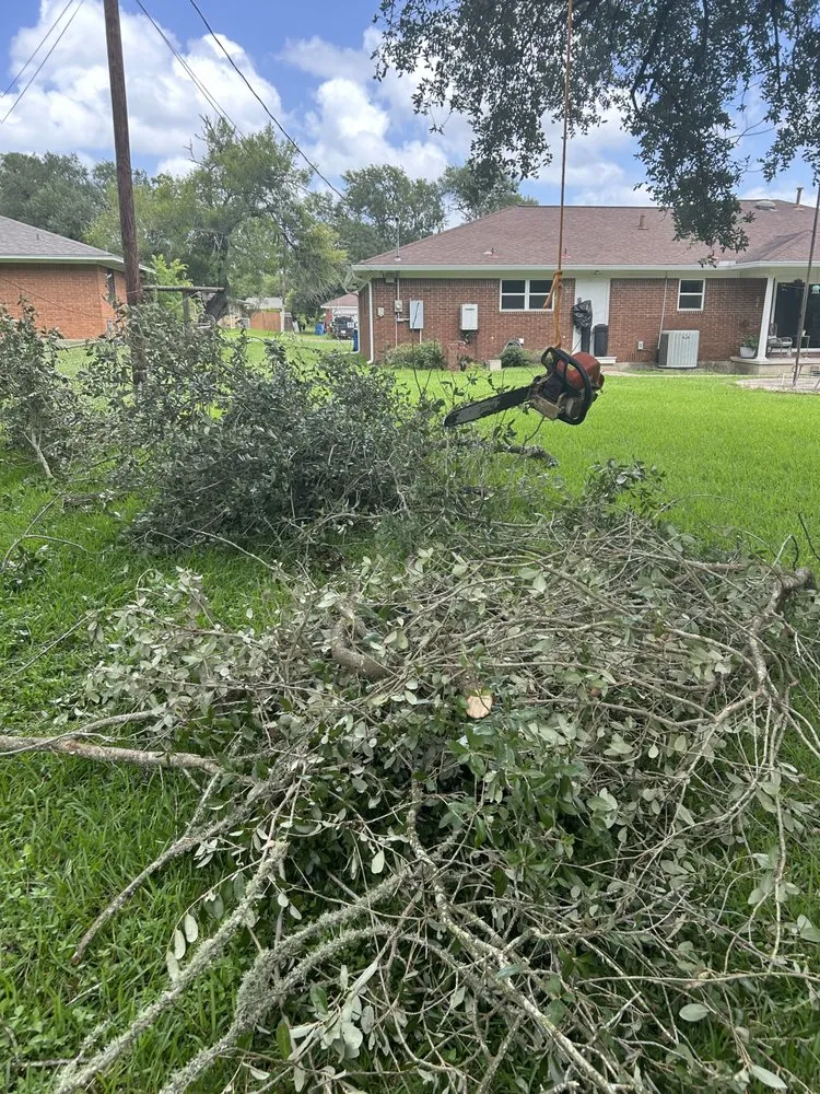 Custom yard cleanup service in Navasota, TX - Dbar3 Landscaping Construction