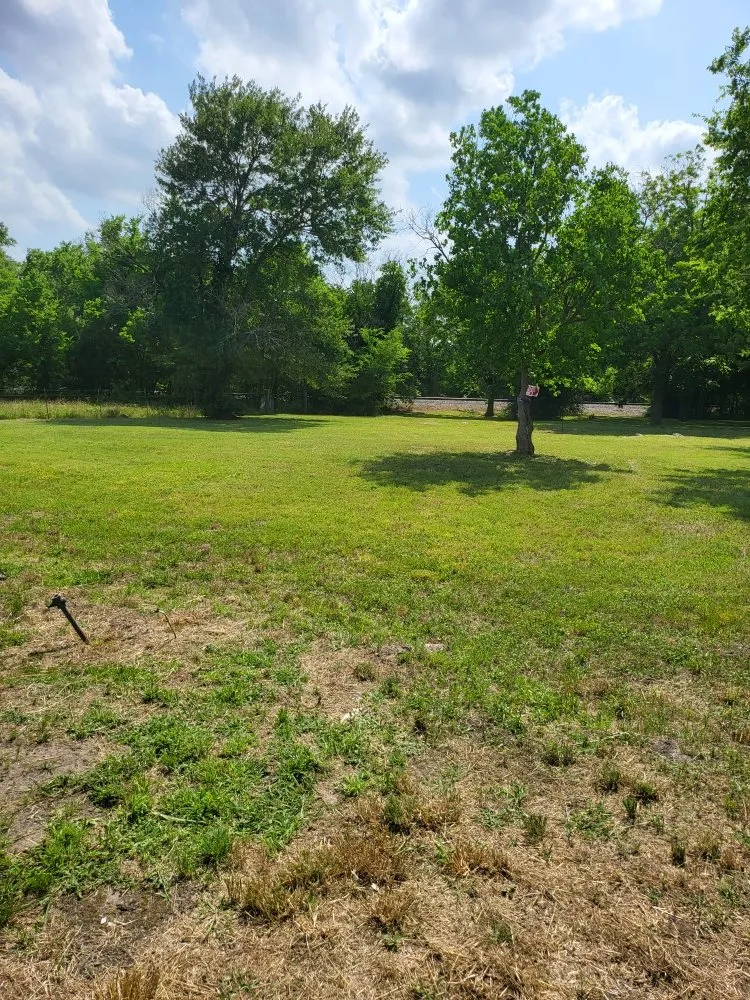 Top-rated yard maintenance for year-round maintenance across Navasota, TX - Dbar3 Landscaping Construction