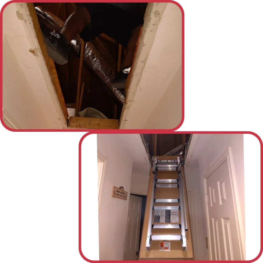 Reliable yard cleanup service near you in Converse, TX by DBC Handyman