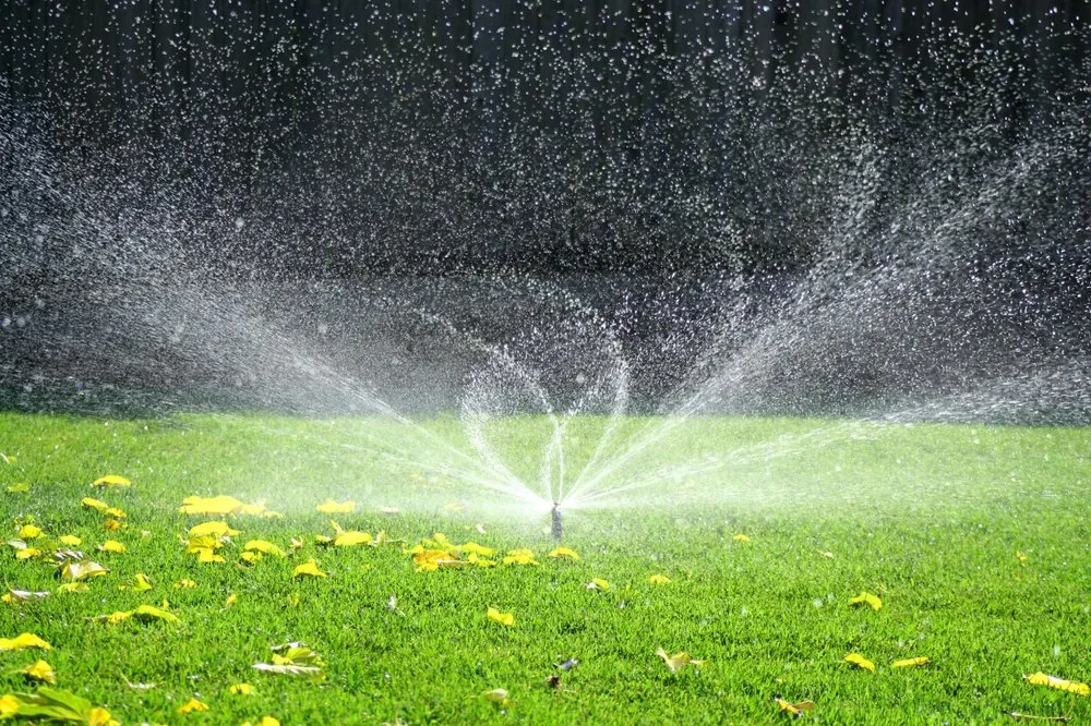 Top-rated yard cleanup service in Sheridan, CO by DBC Irrigation Supply