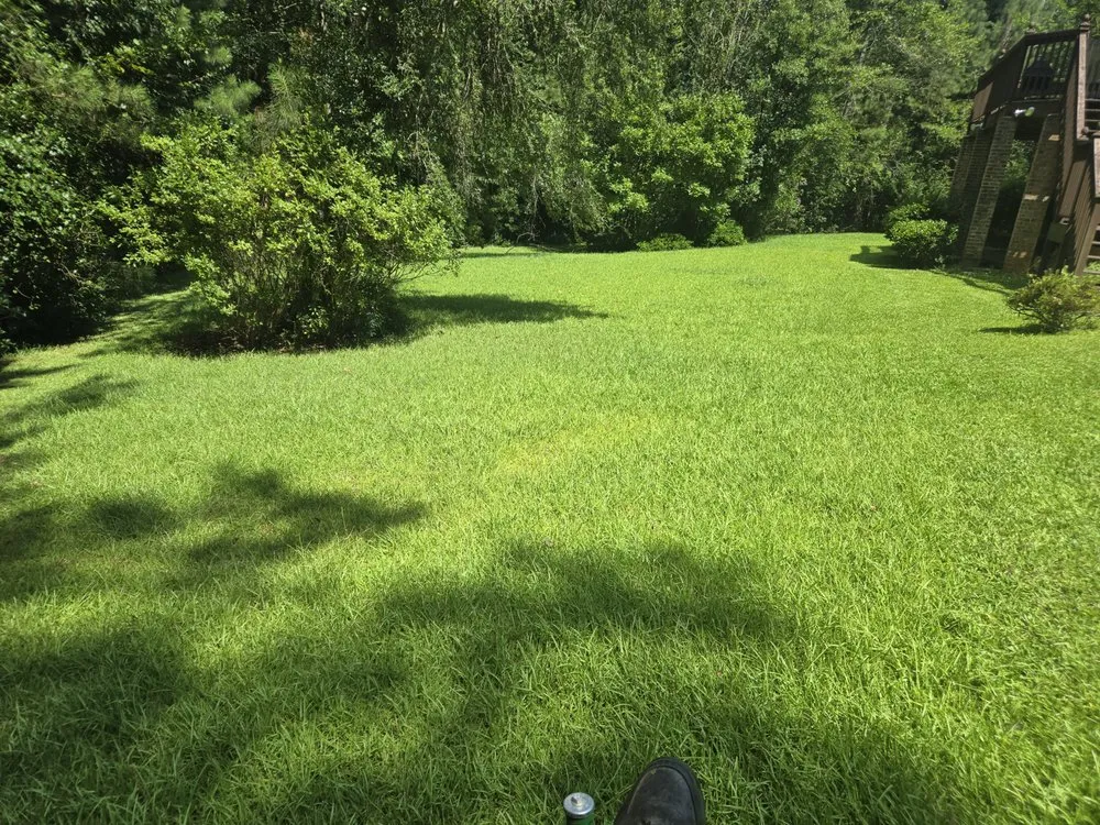 Top-rated landscaping services experts serving Covington, GA - D'bess Lawncare